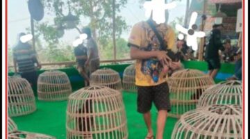 “Perjudian di Jantung Jombang: Bisnis Haram Jalan Terang, Penegakan Hukum Jalan di Tempat